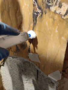BASILICA DEI SANTI AMBROGIO E CARLO AL CORSO lavoro in corso due